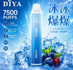 DIYA主機的創新技術與未來發展趨勢