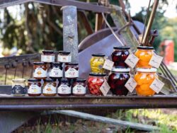 Buy Chutneys Online for Authentic Taste and Fresh Flavors