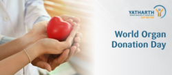 World Organ Donation Day 2026: Importance, Myths & Facts | Yatharth Hospitals