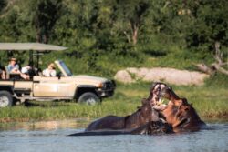 Best Wildlife Experience on Tour Safari Madagascar