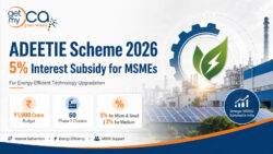 Understanding Energy-Efficient Technology Support for MSMEs