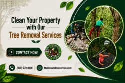 Handle hazards with our professional tree removal experts