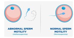 Reliable Sperm Test Delaware Services