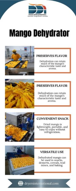 Mango Dehydrator