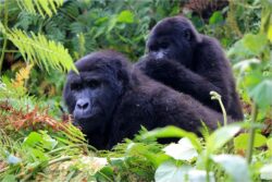 East Africa Adventure Guide