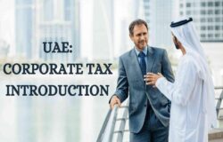 Why Businesses in the UAE Need Professional Bookkeeping