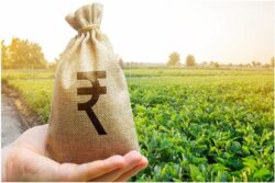 Why a Loan Against Agricultural Land Can Fund Your Farm Expansion Goals