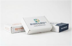 Simple Ways To Upgrade Your Custom Mailer Boxes Design