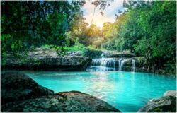 How to Plan a Perfect Nature-Focused Holiday in India