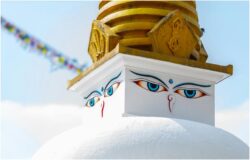 Best Travel Experiences In India For Families And Couples