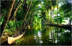 Top 10 Nature Destinations in India for a Peaceful Holiday
