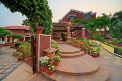 Where I found Odisha’s coastal flavours after visiting Konark?