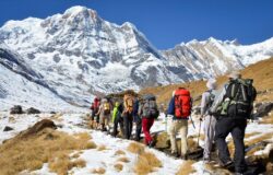 Why Annapurna Base Camp Trek Is Perfect for Beginners