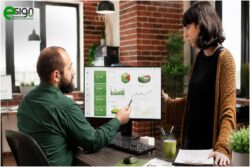 Professional SEO vs AI-Only SEO: Why Human Expertise Still Matters