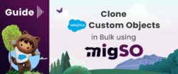 Guide to Clone Salesforce Objects Using migSO