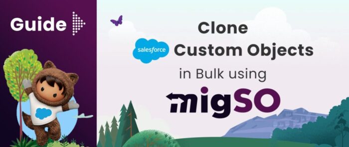 Guide to Clone Salesforce Objects Using migSO