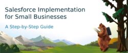 Salesforce Implementation Partners in India, Salesforce Implementation Services