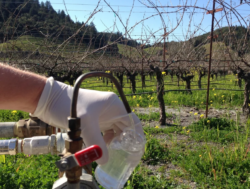 Water Sampling & Testing