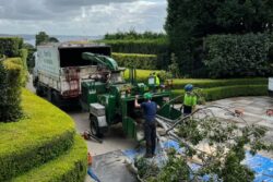 Tree Removal Pymble