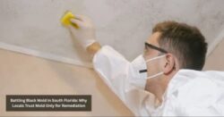 Battling Black Mold in South Florida: Why Locals Trust Mold Only for Remediation