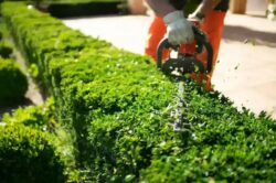 Landscaping Elwood