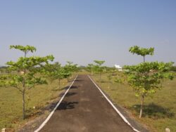 3 Important Factors to Remember When Buying a Villa Plot in Chennai