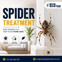Spider Treatment – Safe & Effective Solutions for Spider Control