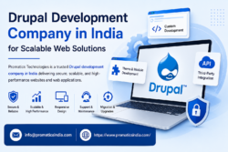 Drupal Development India | Custom Drupal Solutions