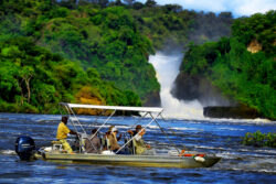 Top 5 National Parks Worth Visiting on a Safari in Uganda