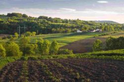 Top Villa Plots in Hosur for Sale for Future Investment