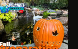 Spring Water Change Pond: 5 Reasons to Stop