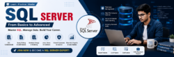 SQL Server Institute in Noida | Training & Course | Bits and Bytes Automation